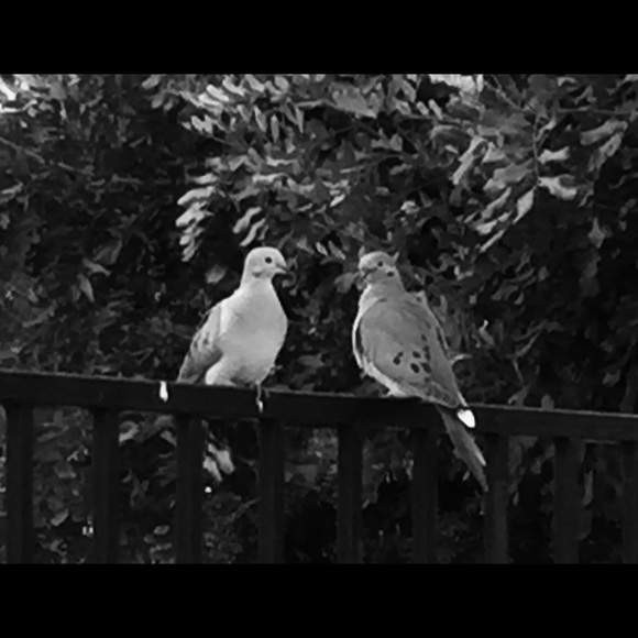 Meet your Poshers, DaPursePlace! - Picture 3 of 15